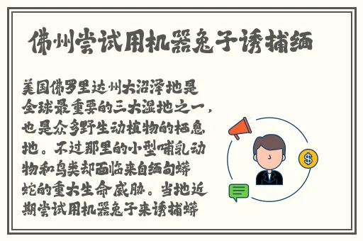 精品久久久久国产免费